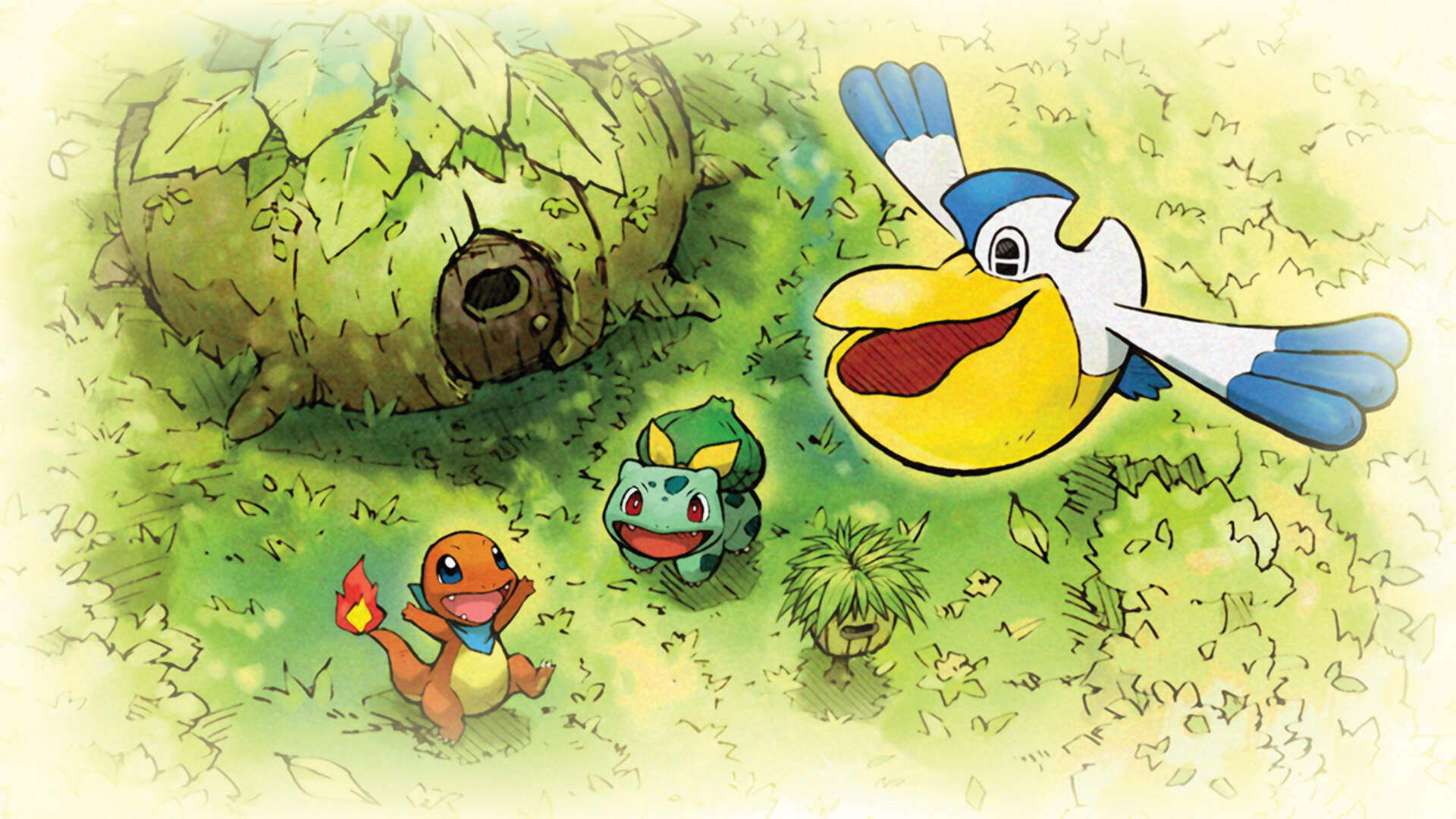 Pokemon Mystery Dungeon Background