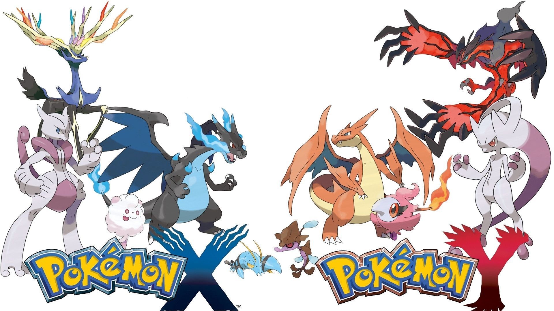 Pokemon Y Wallpapers