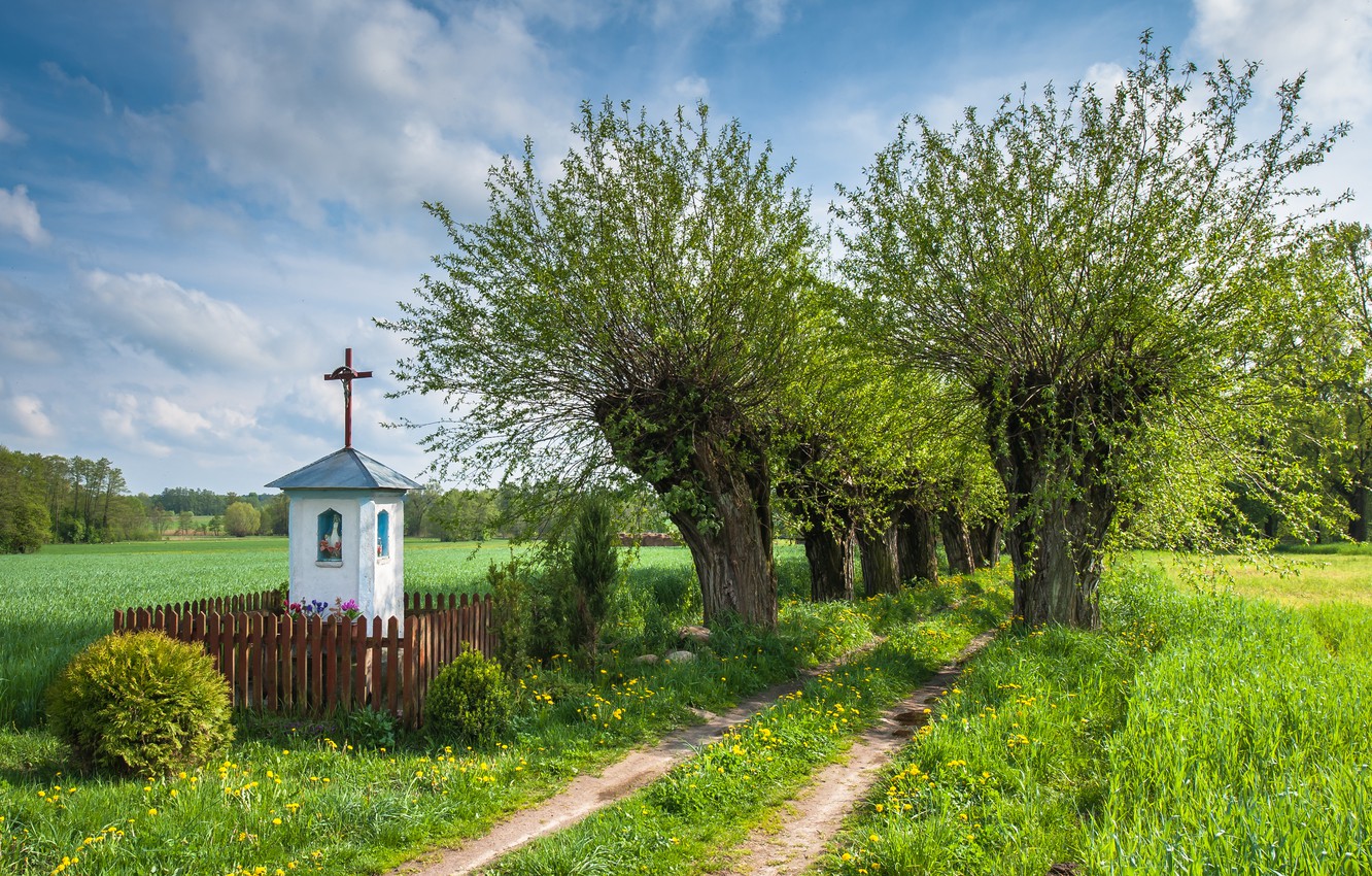 Poland Nature Wallpapers