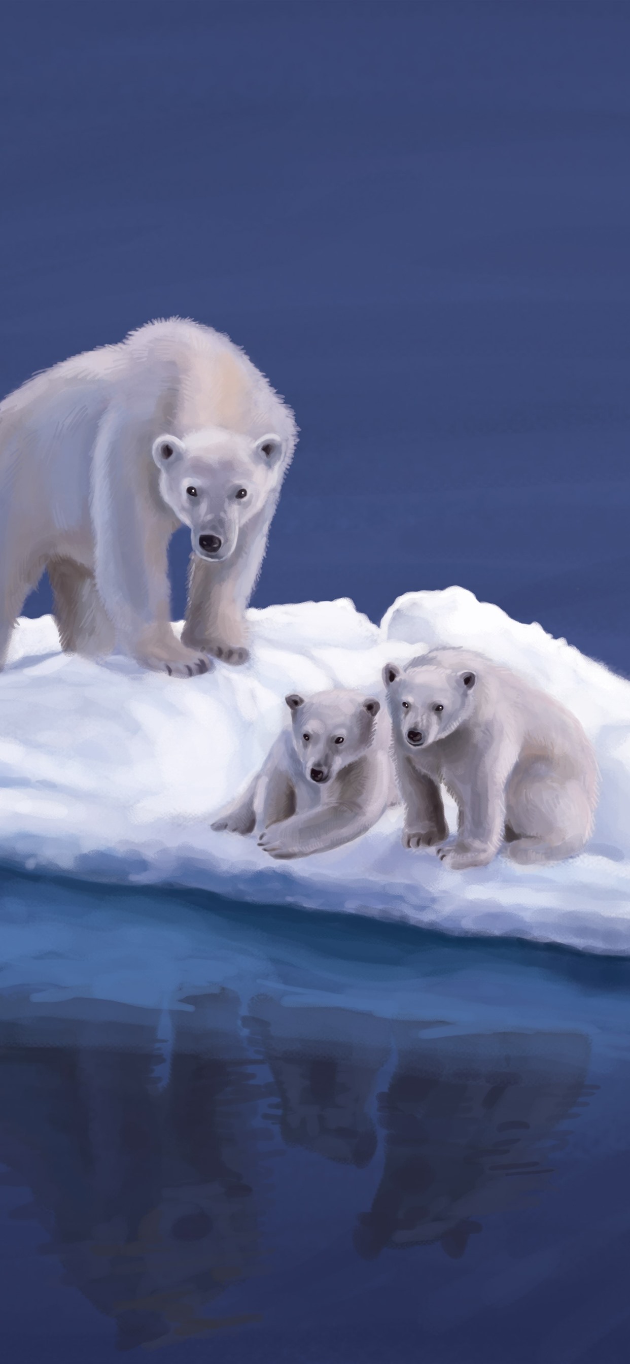 Polar Bear Iphone Wallpapers
