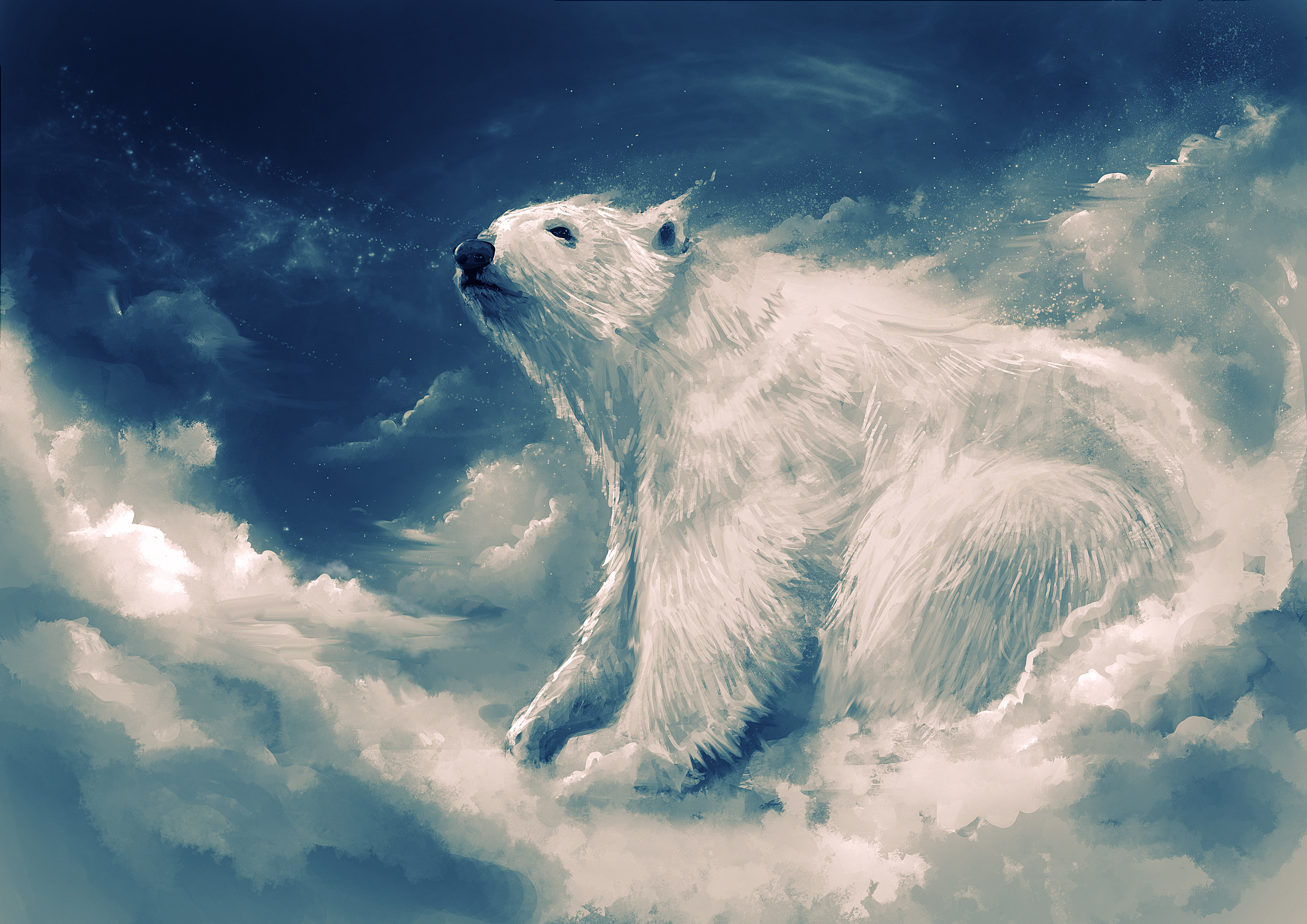 Polar Wallpapers