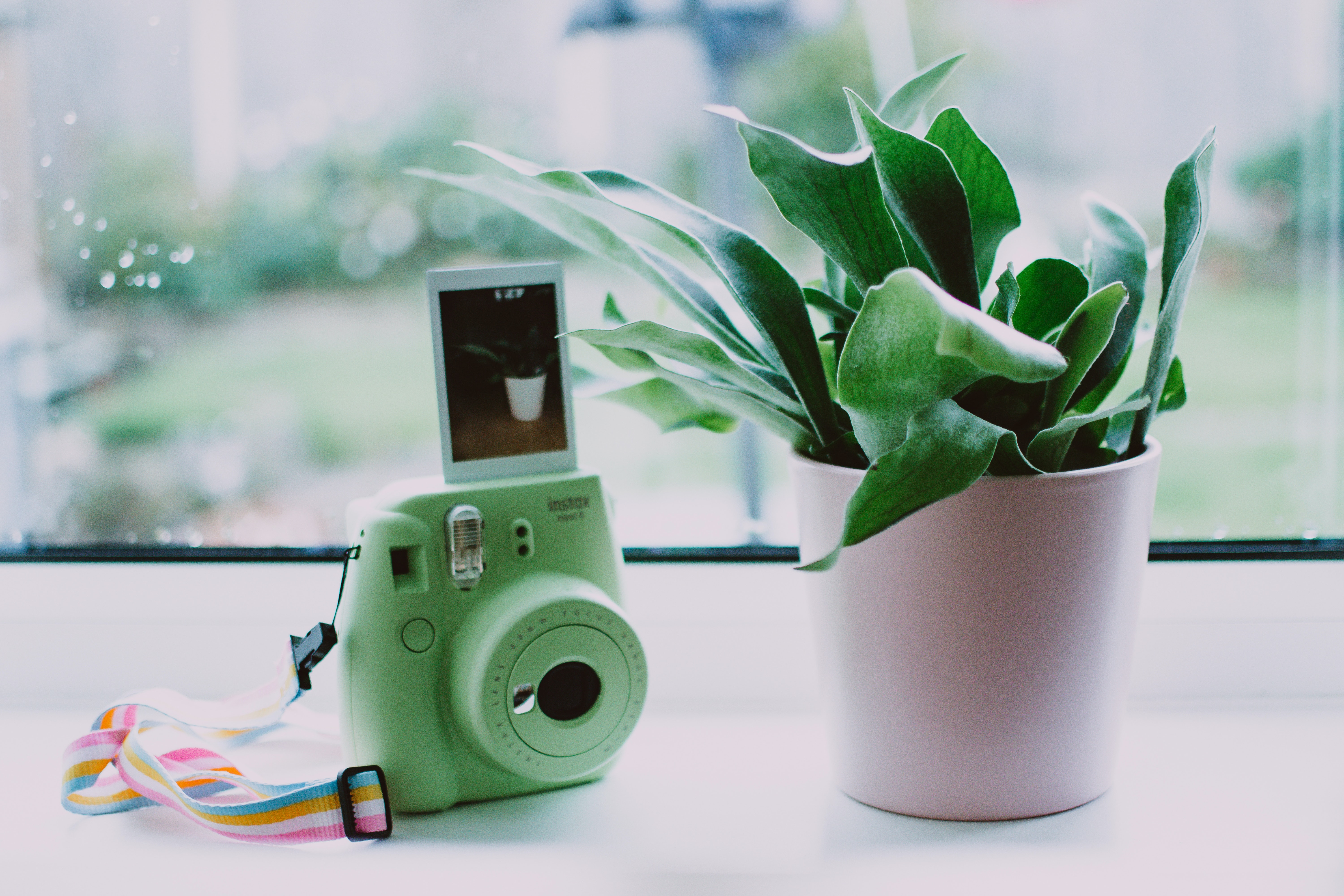 Polaroid Camera Wallpapers