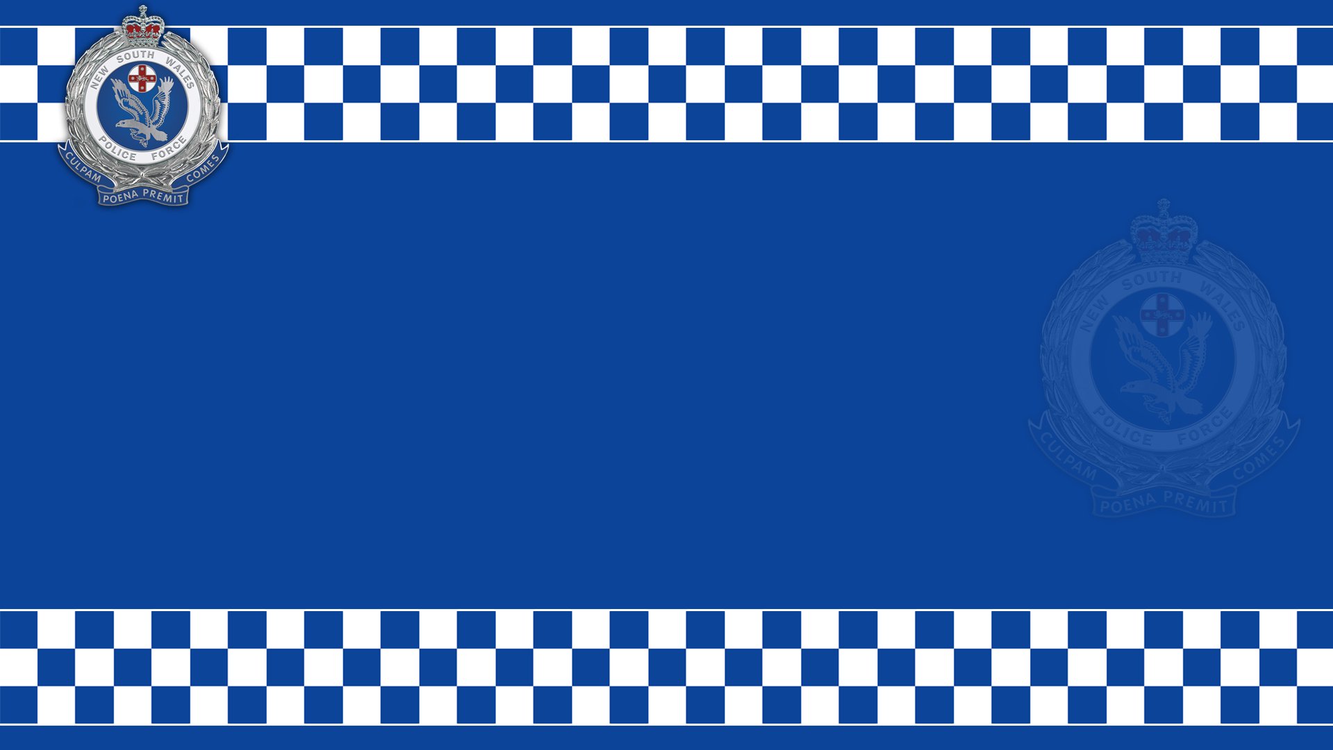 Police Computer Background