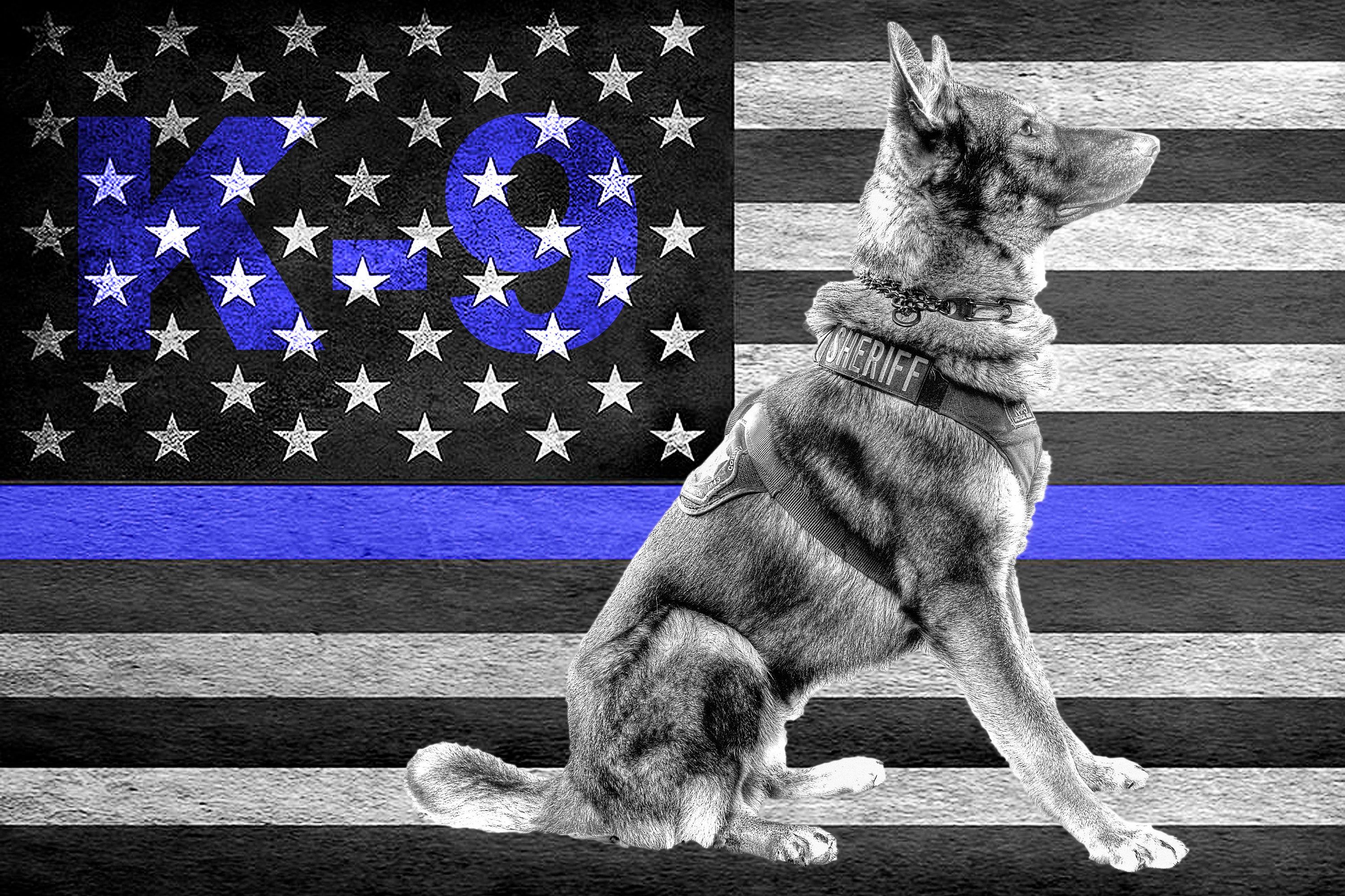 Police K9 Wallpapers