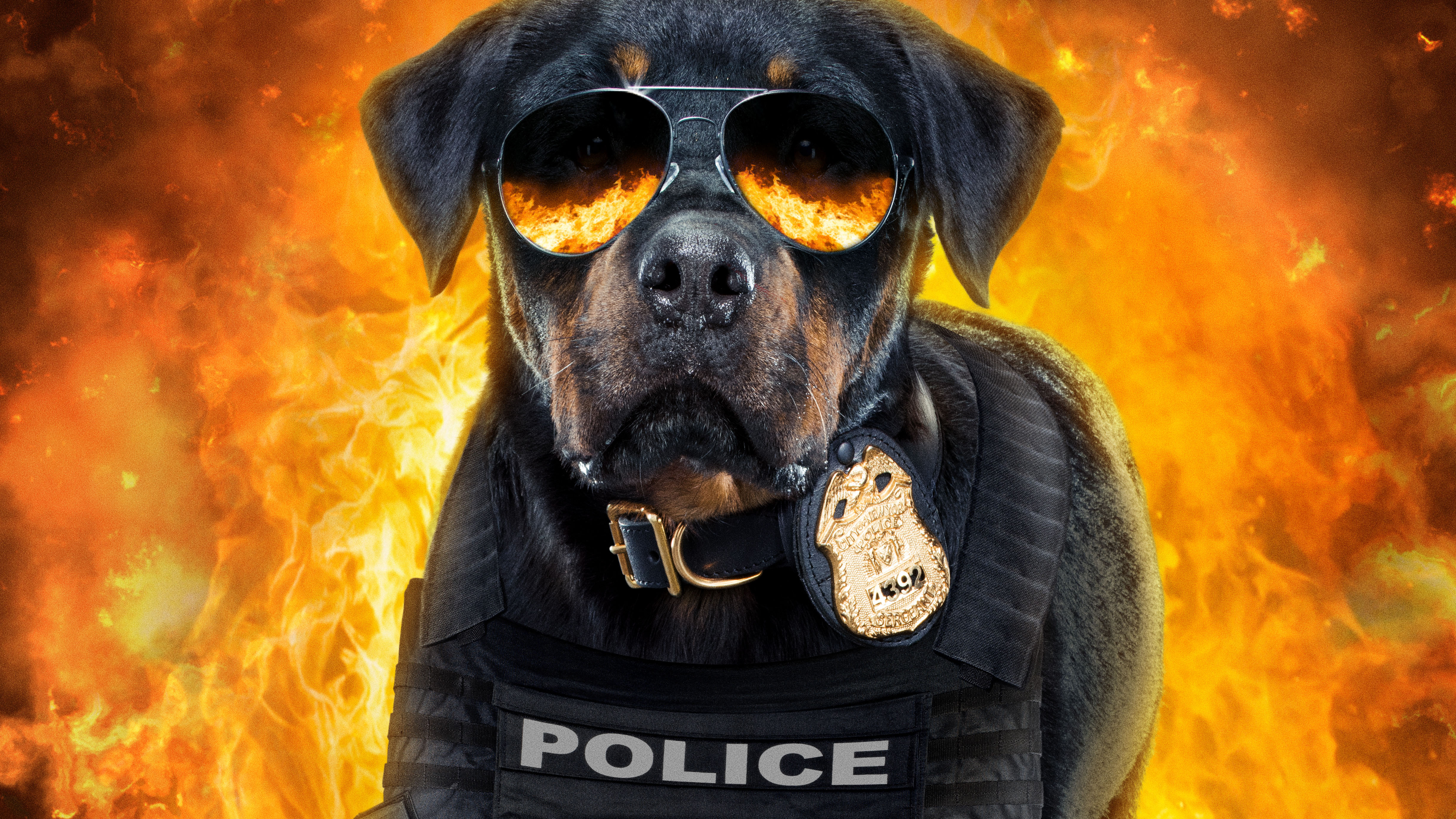 Police K9 Wallpapers