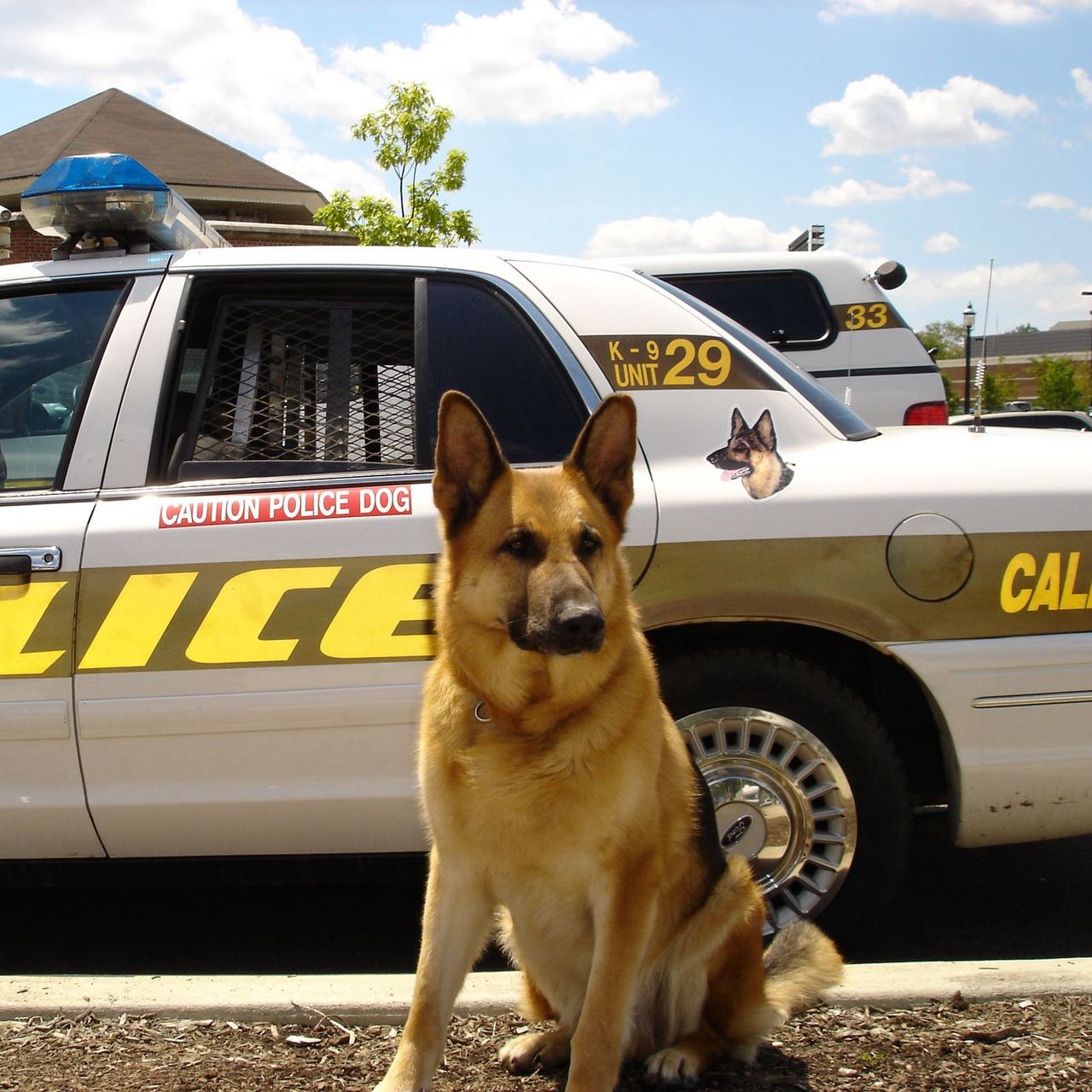 Police K9 Wallpapers