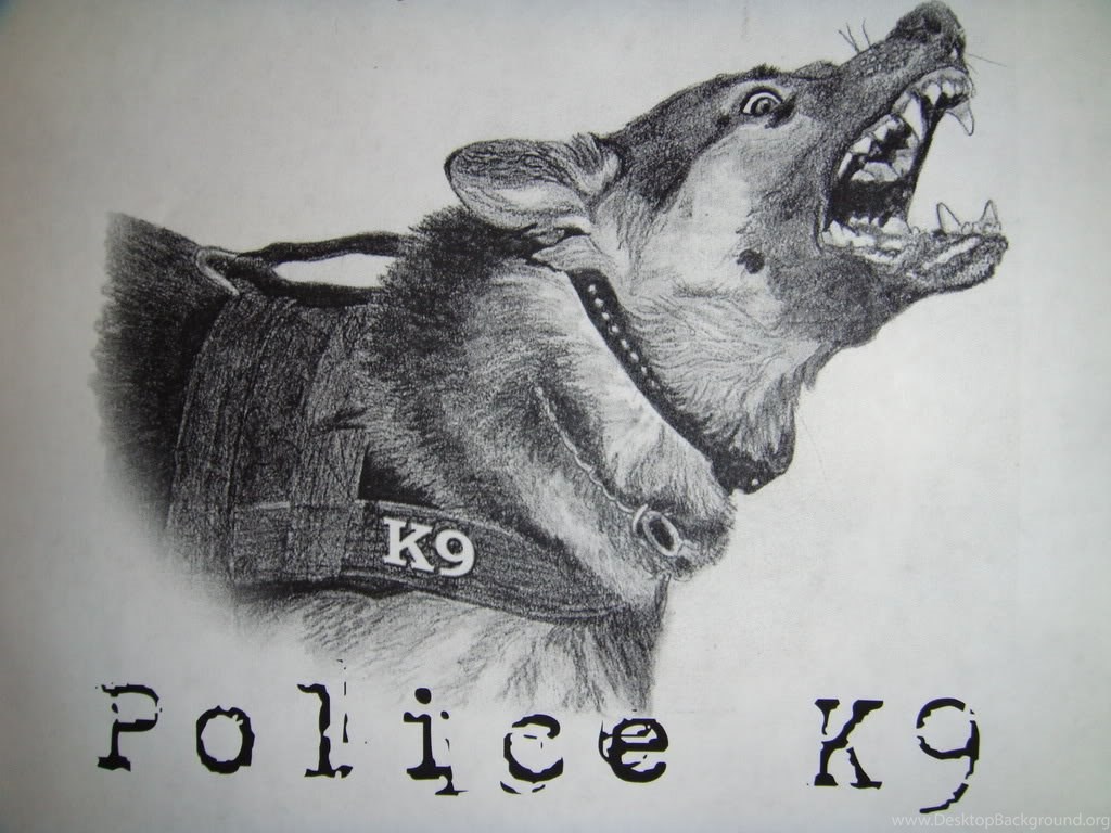 Police K9 Wallpapers