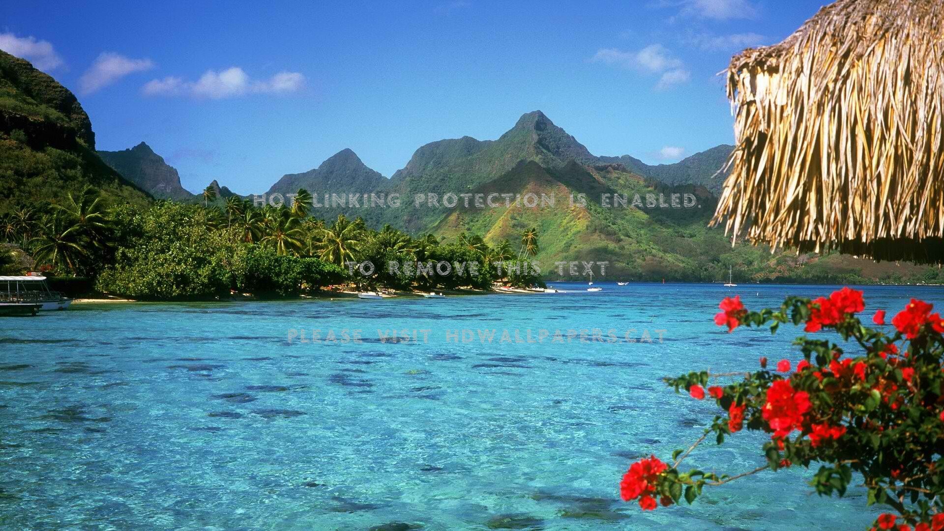 Polynesia Wallpapers