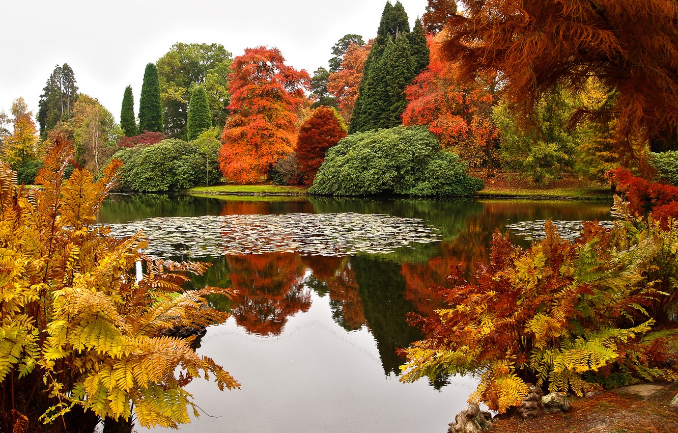 Pond Autumn Park Wallpapers