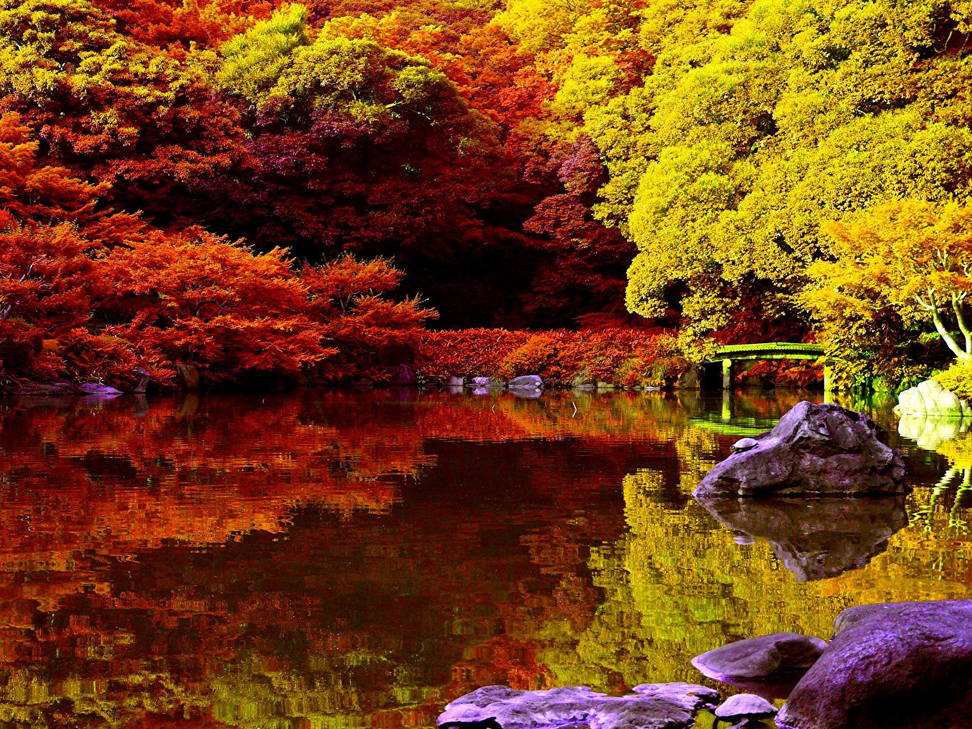 Pond Autumn Park Wallpapers