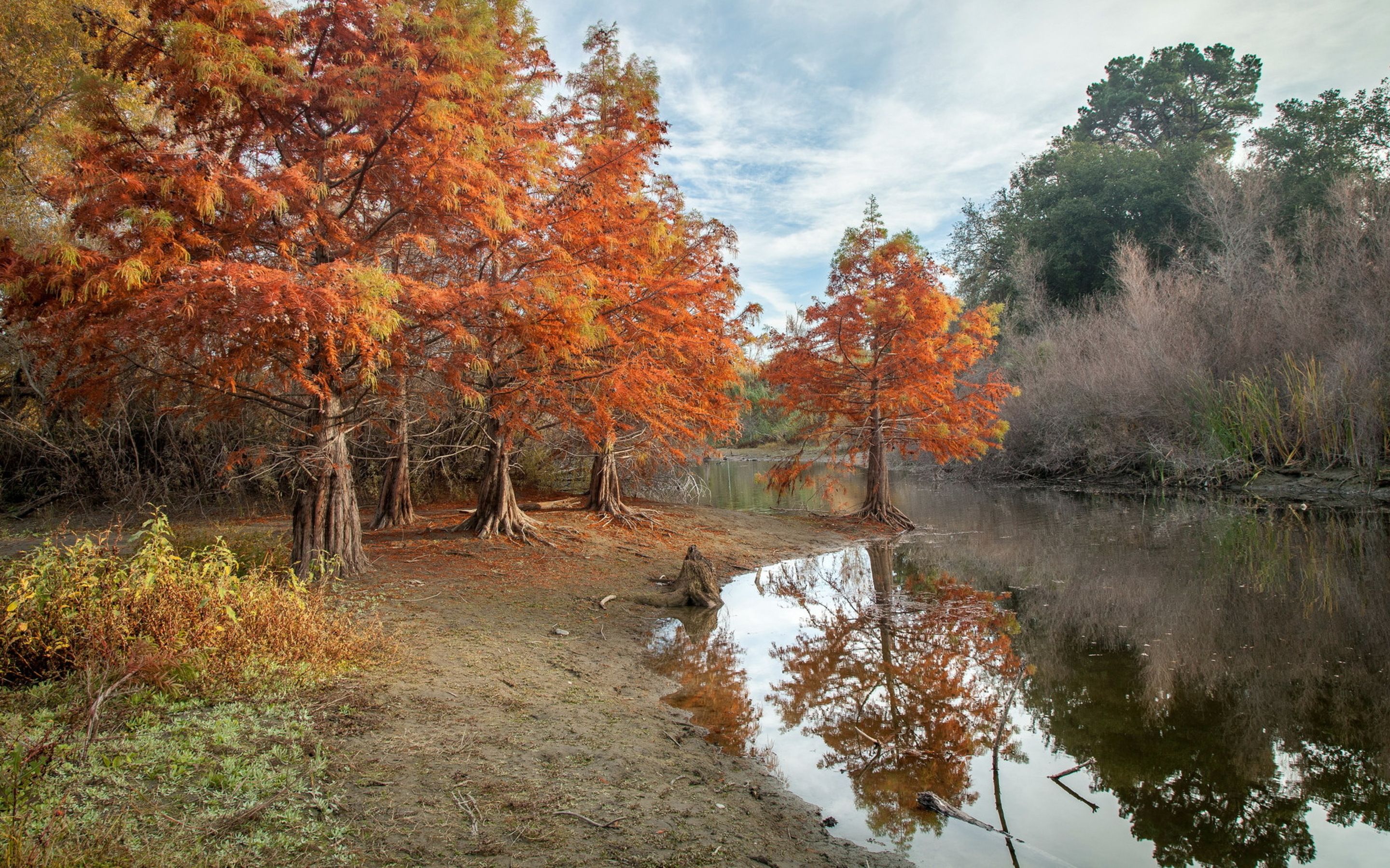 Pond Autumn Park Wallpapers