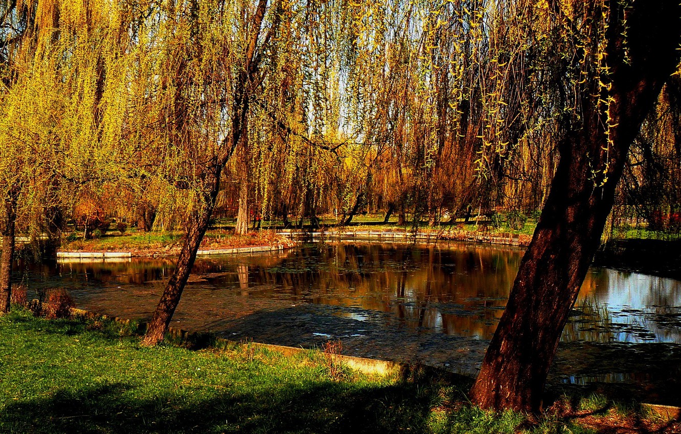 Pond Autumn Park Wallpapers