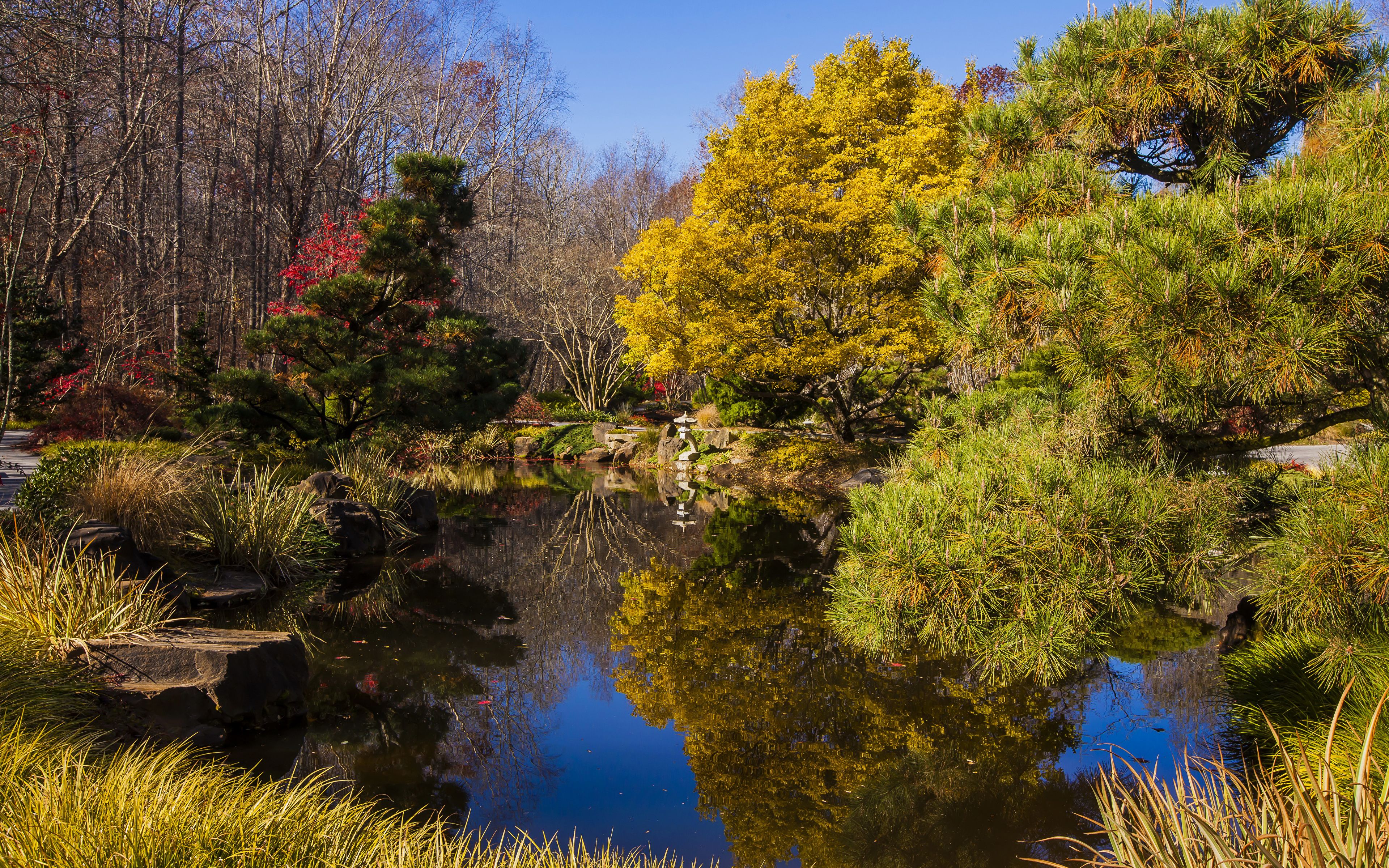 Pond Autumn Park Wallpapers