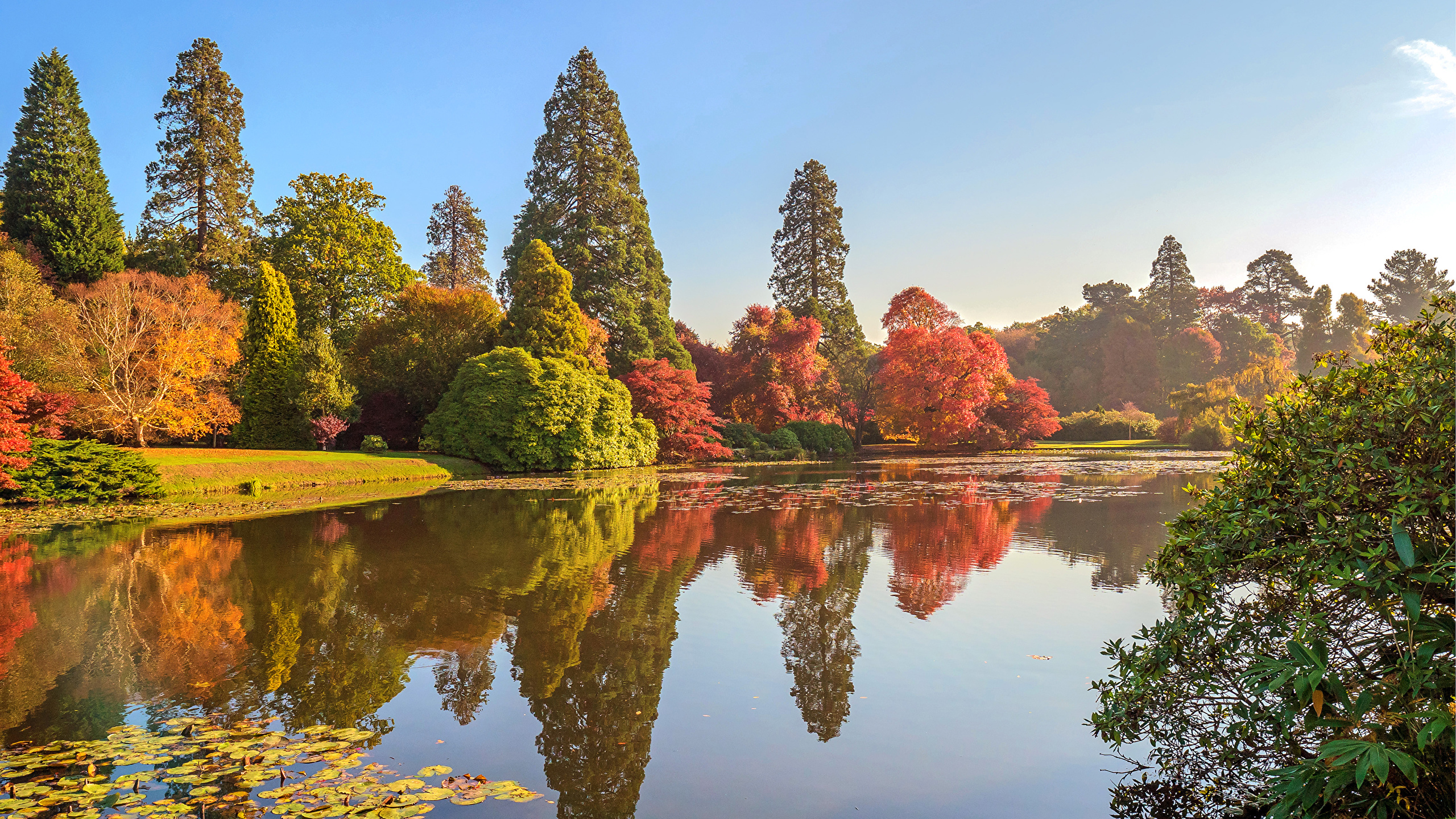 Pond Autumn Park Wallpapers