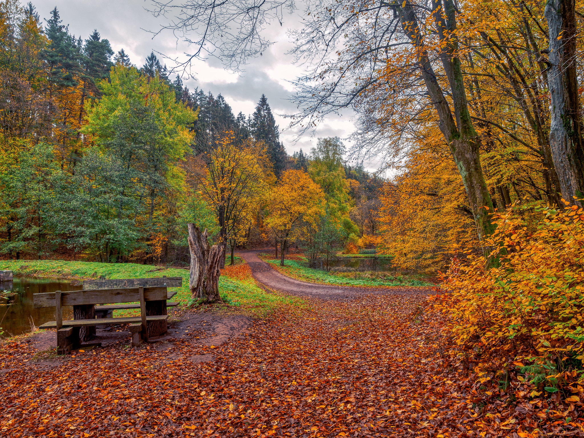 Pond Autumn Park Wallpapers