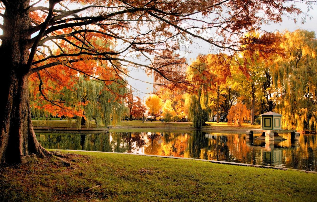 Pond Autumn Park Wallpapers