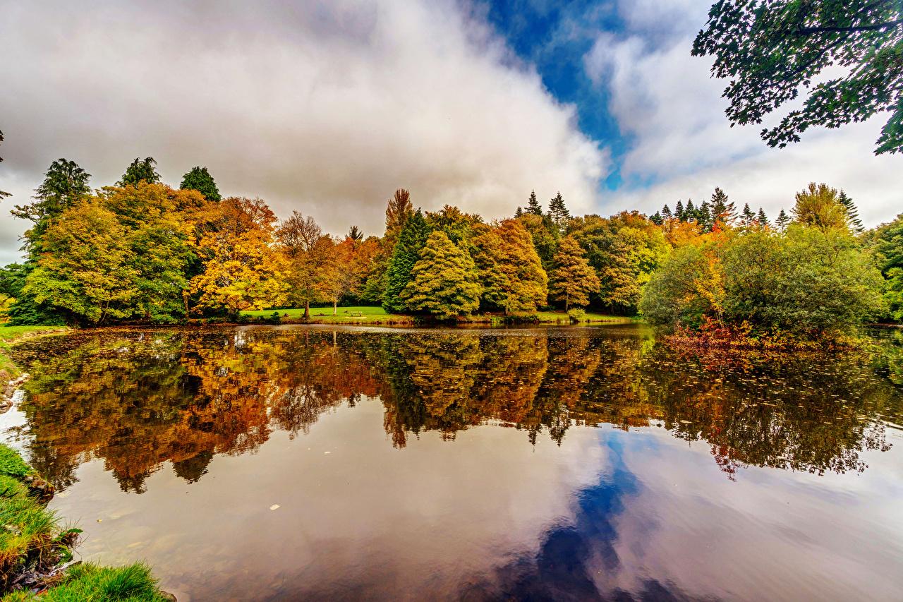 Pond Autumn Park Wallpapers