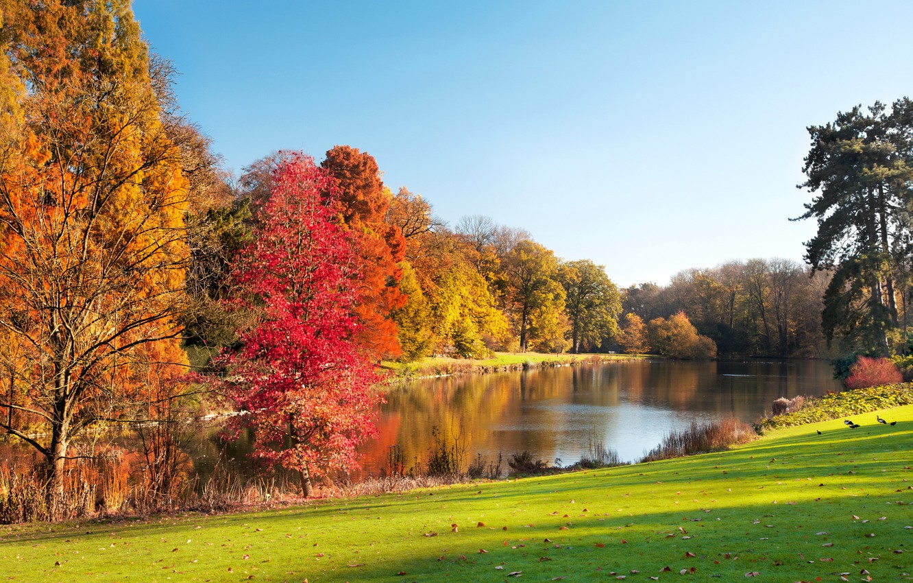 Pond Autumn Park Wallpapers