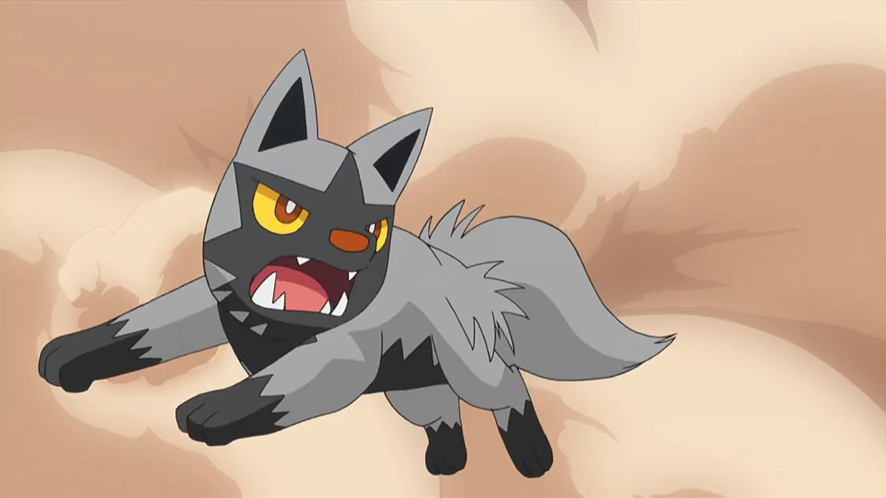 Poochyena Hd Wallpapers