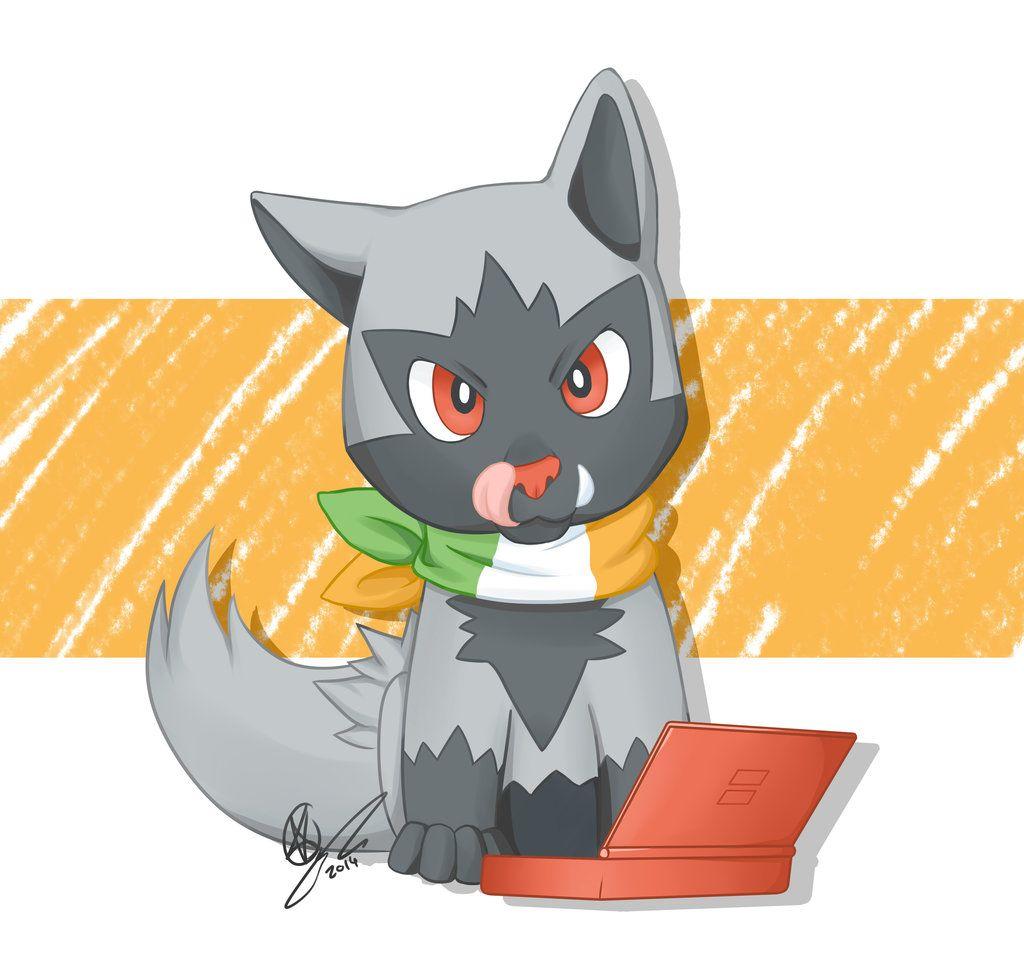 Poochyena Hd Wallpapers