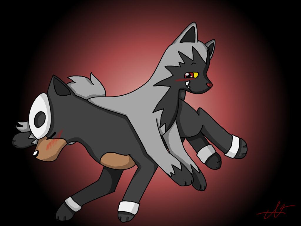 Poochyena Hd Wallpapers