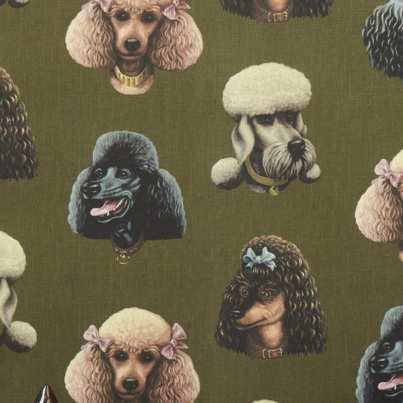 Poodle Wallpapers