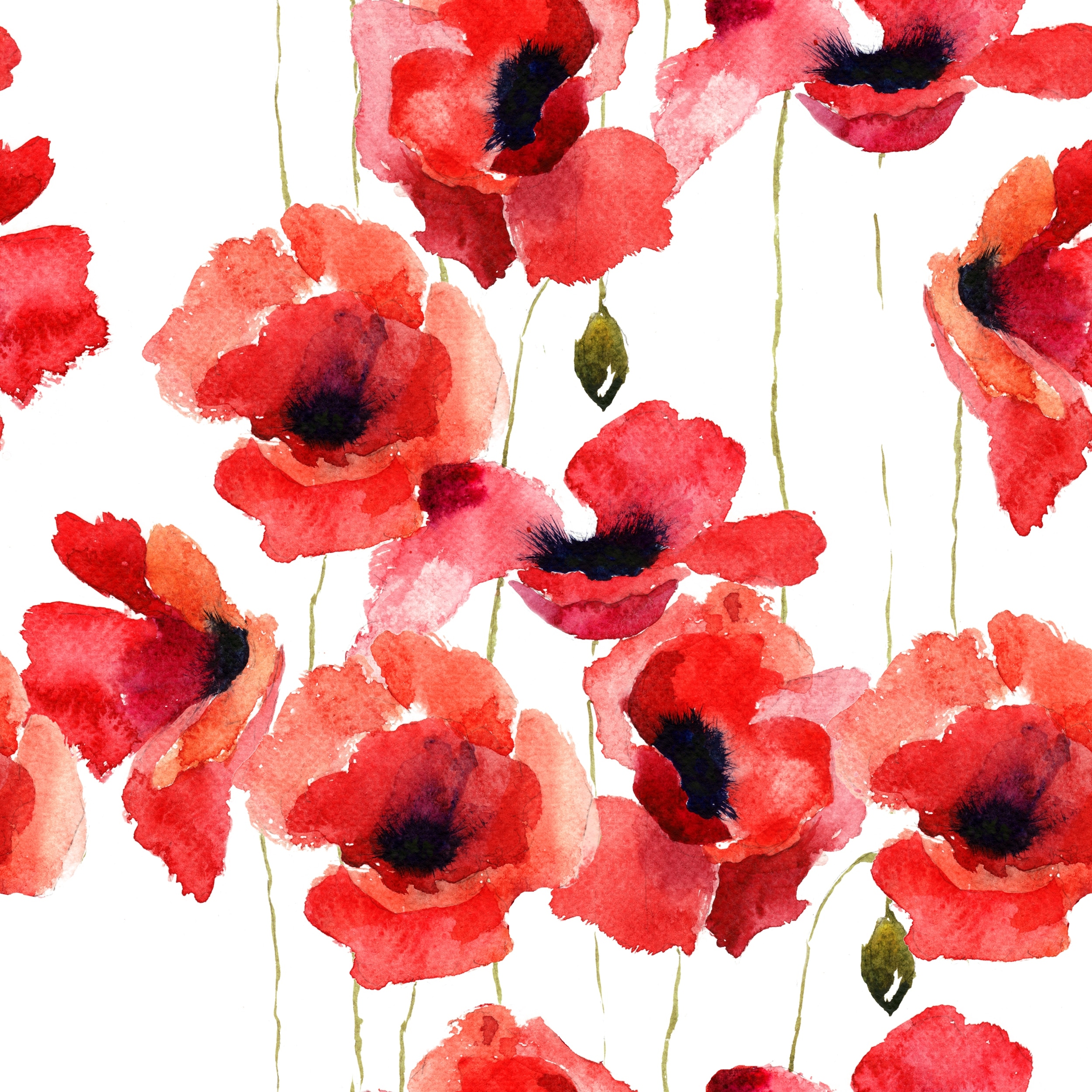 Poppies Wallpapers