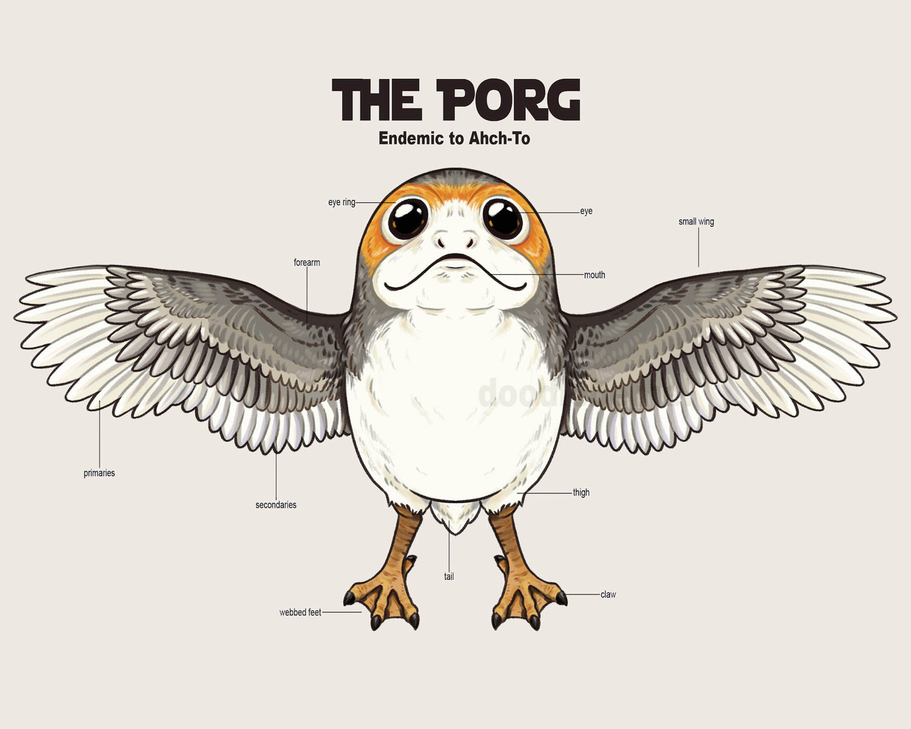 Porg Background