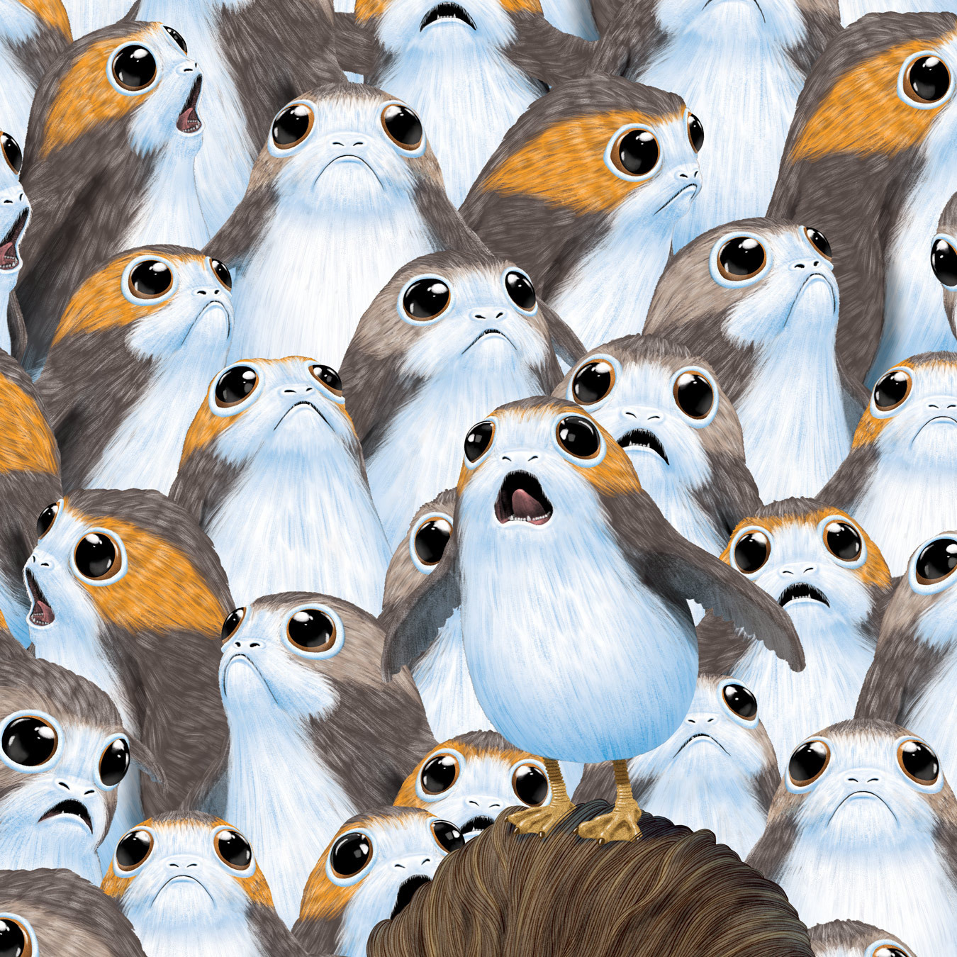 Porg Background