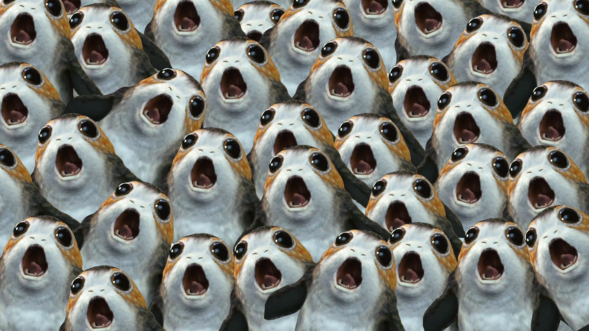 Porg Background