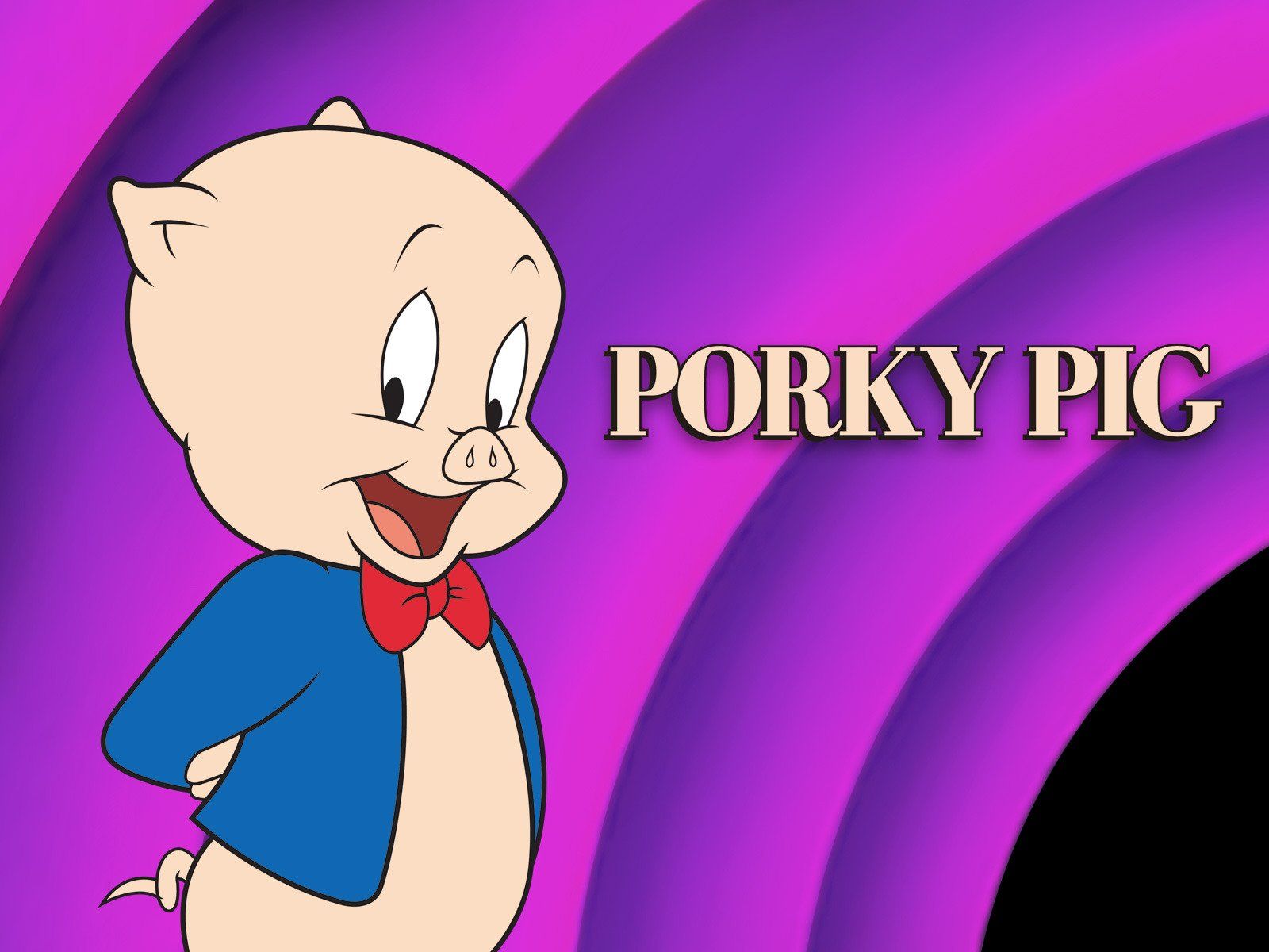 Porky Pig Pics Wallpapers