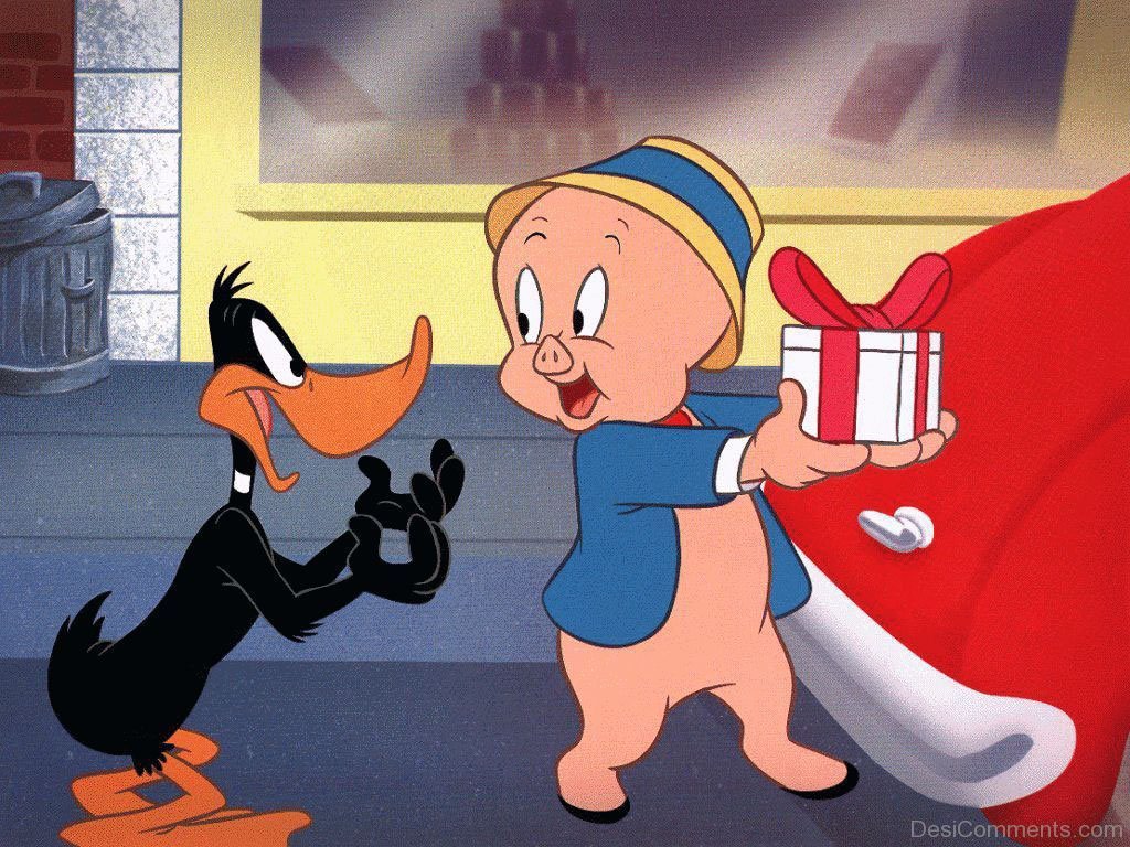 Porky Pig Pics Wallpapers