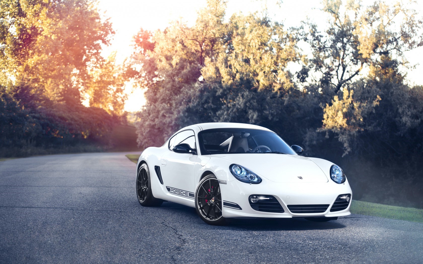 Porsche Cayman R Wallpapers