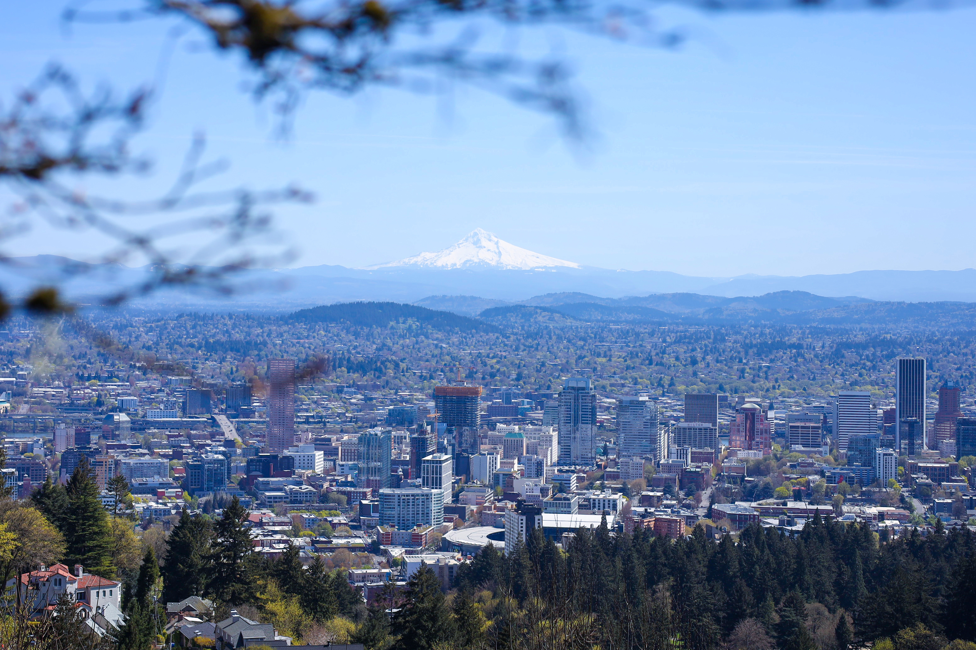 Portland Skyline Wallpapers