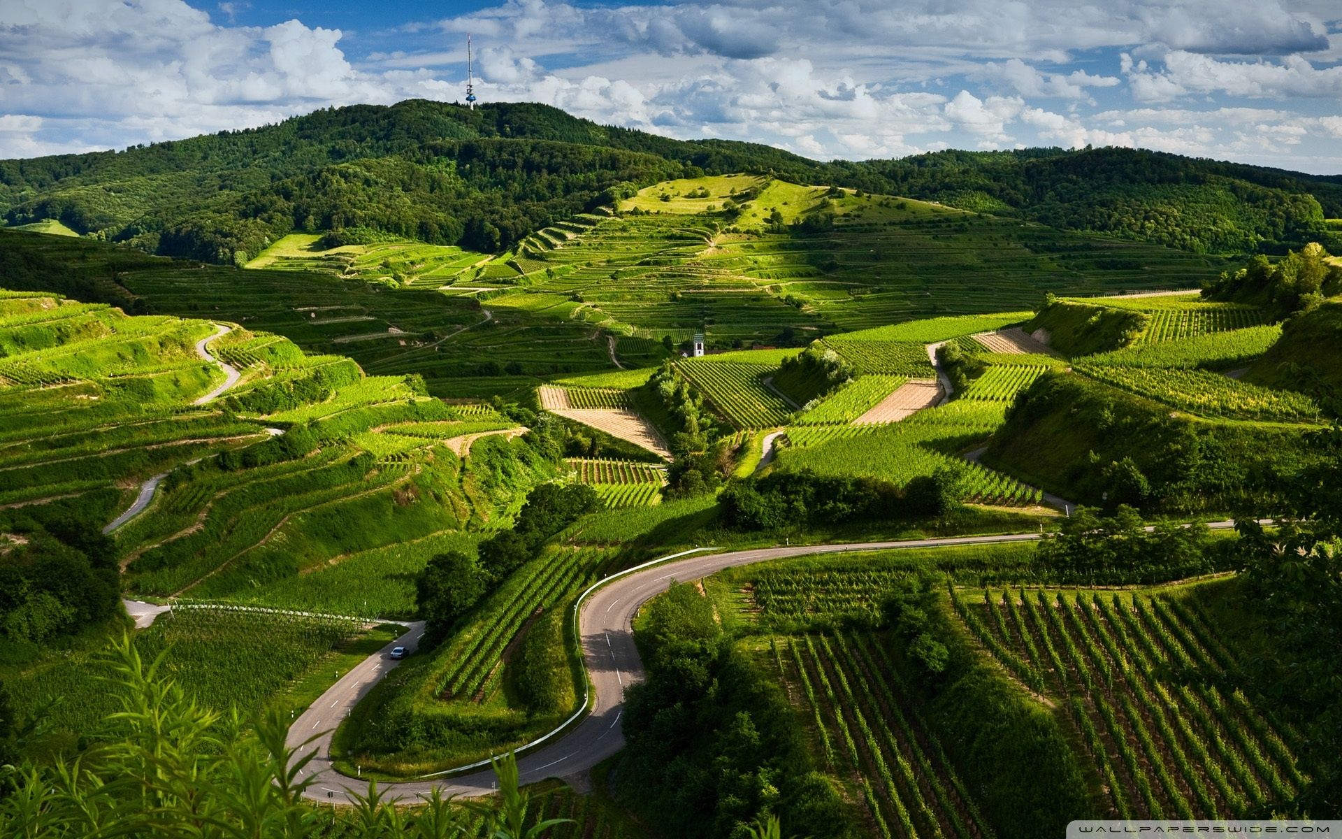 Prague Countryside Wallpapers