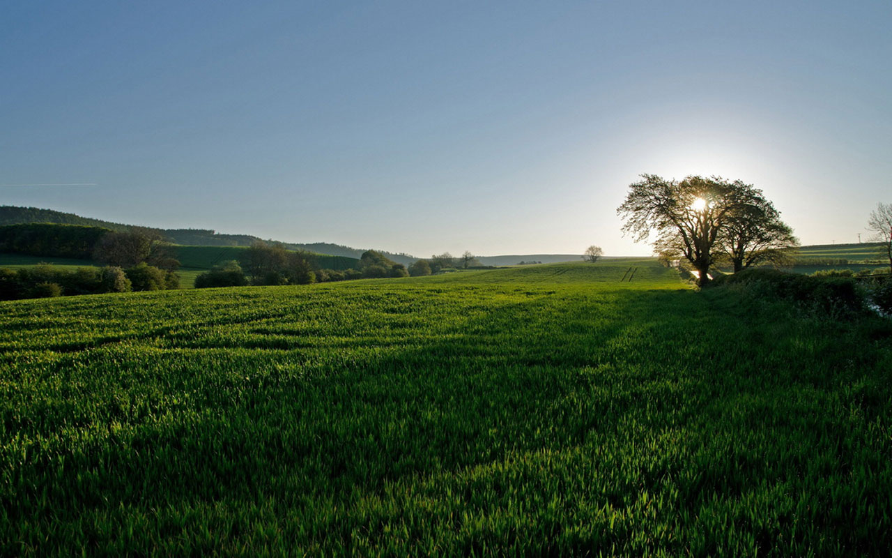 Prairie Wallpapers