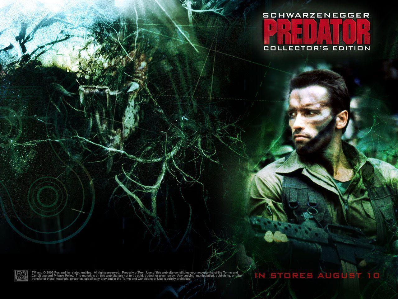 Predator 1987 Wallpapers