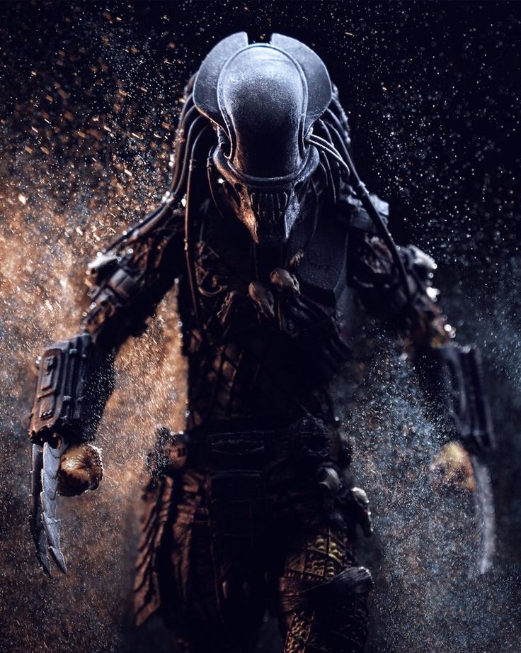 Predator 4K Wallpapers