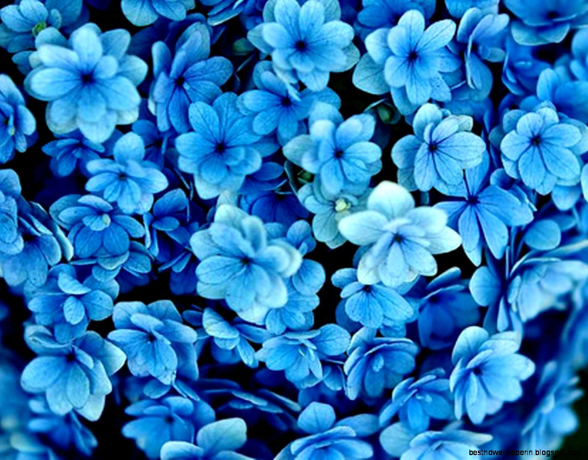 Pretty Blue Tumblr Backgrounds