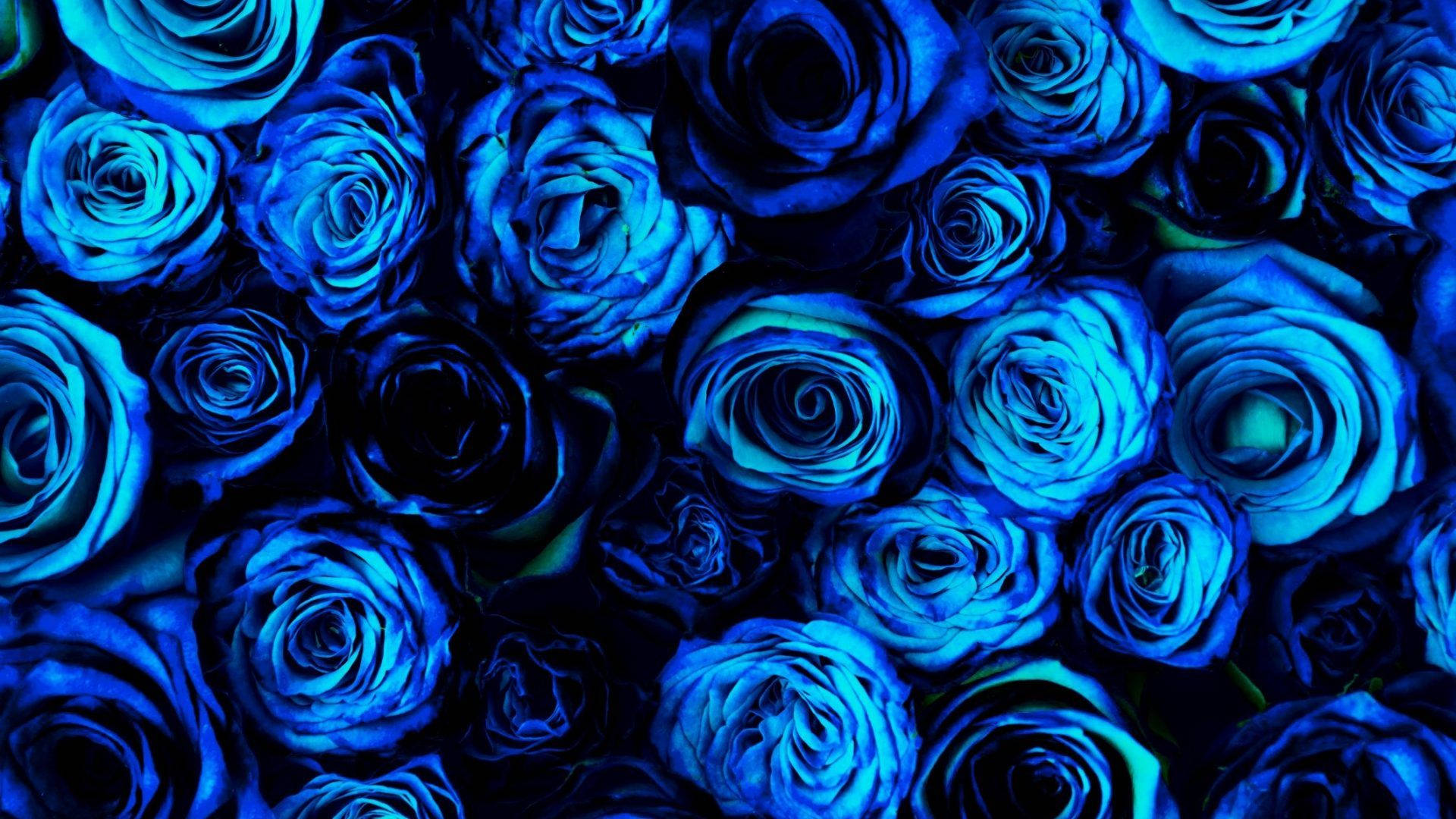 Pretty Blue Wallpapers