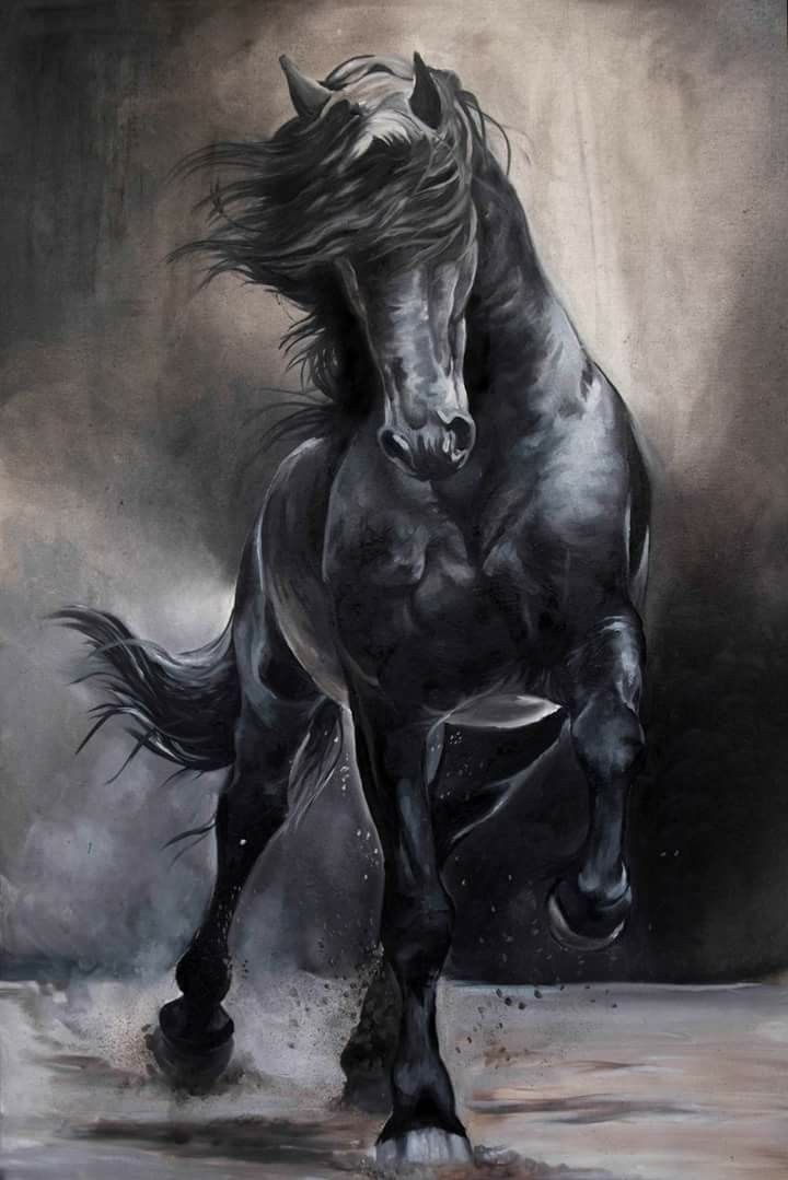 Pretty Horse Drawings Wallpapers