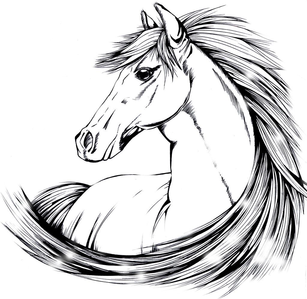 Pretty Horse Drawings Wallpapers