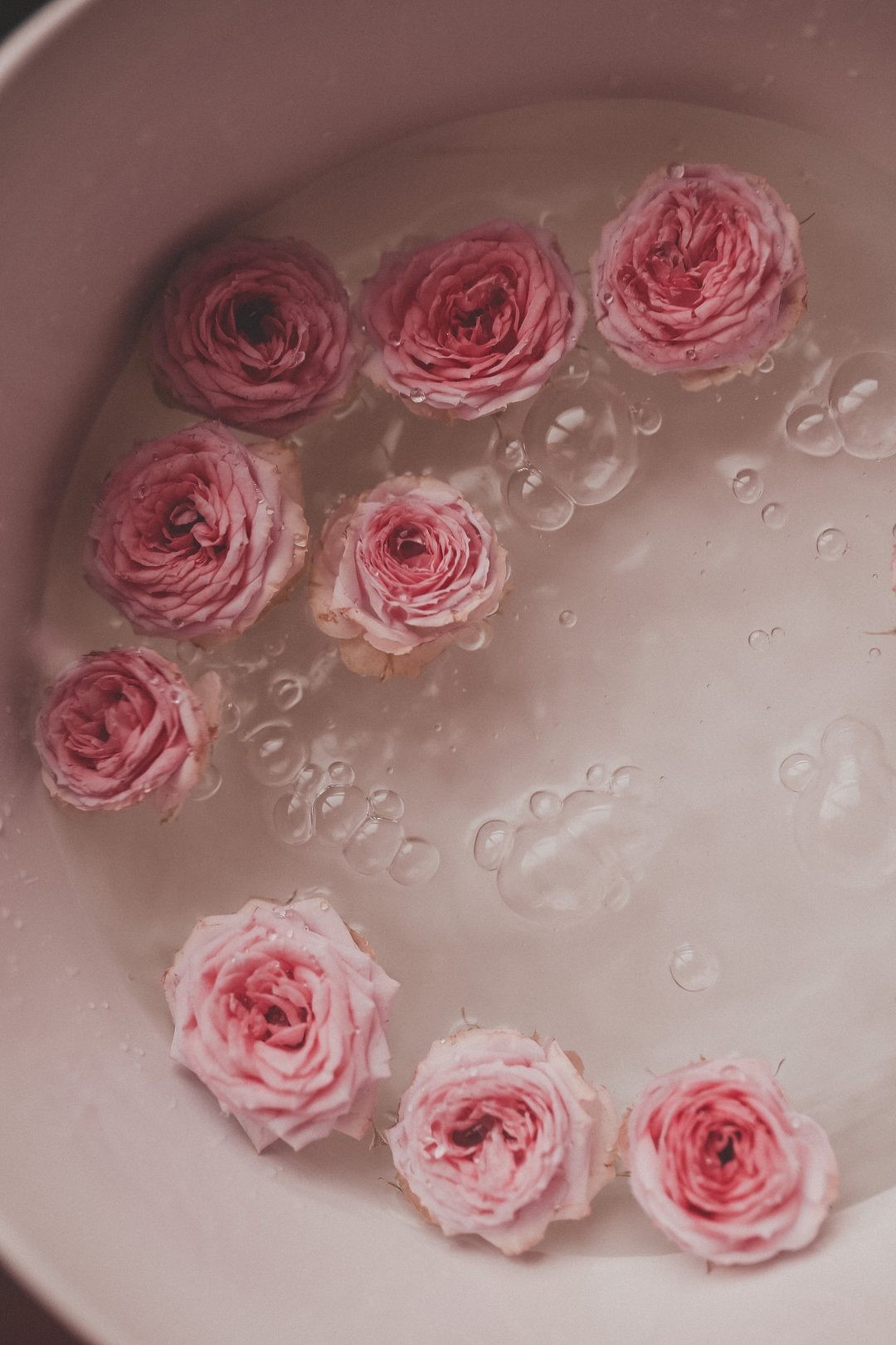 Pretty Roses Wallpapers