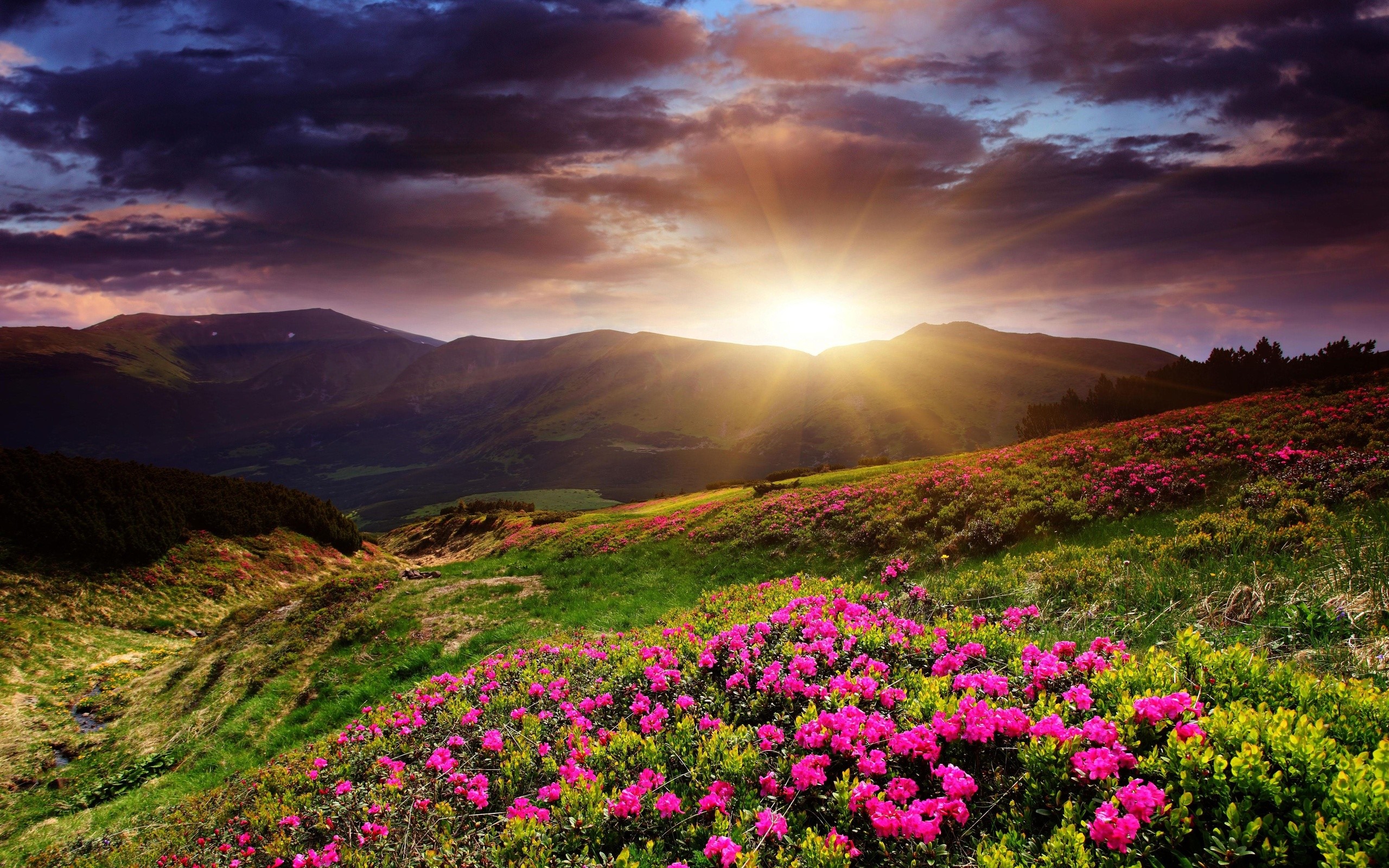 Pretty Scenery Mountains In Sunshine Wallpapers