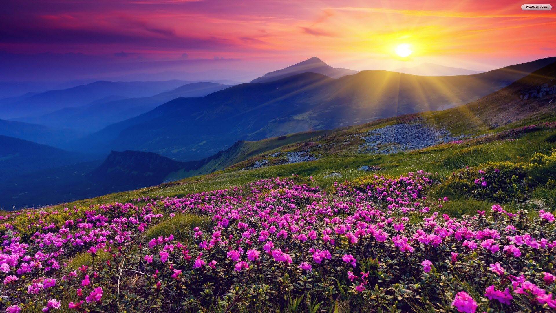 Pretty Scenery Mountains In Sunshine Wallpapers