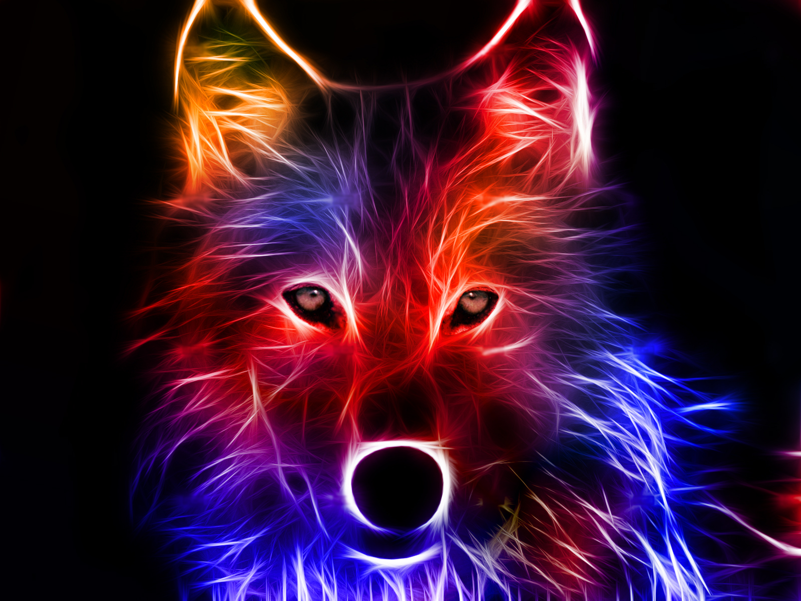 Pretty Wolf Wallpapers