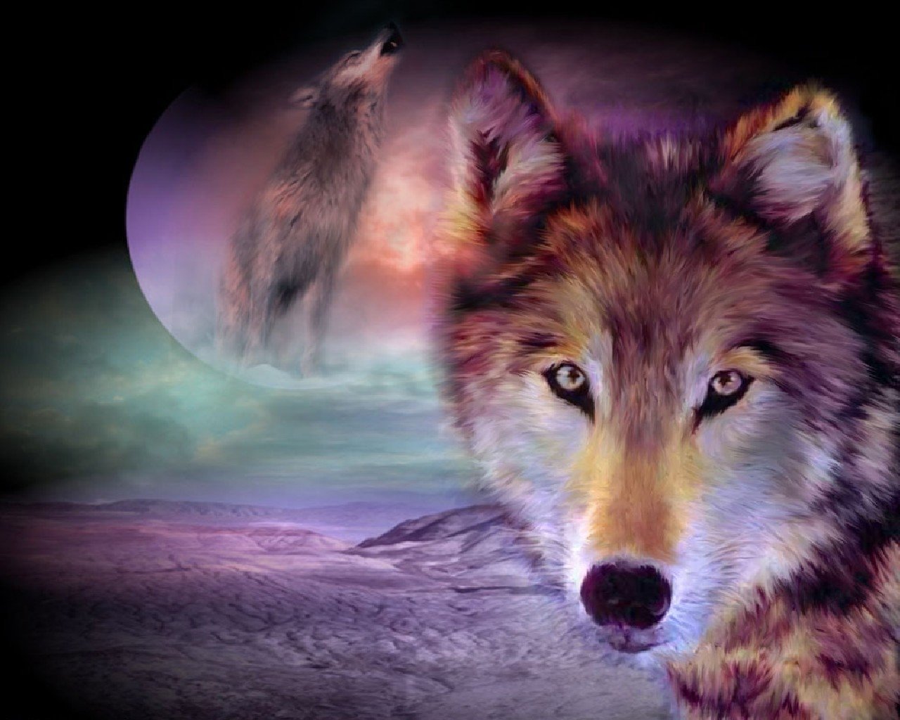 Pretty Wolf Wallpapers