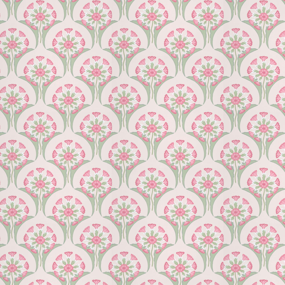 Primula Wallpapers