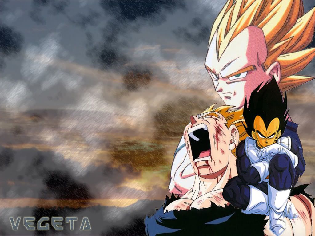 Prince Vegeta Wallpapers