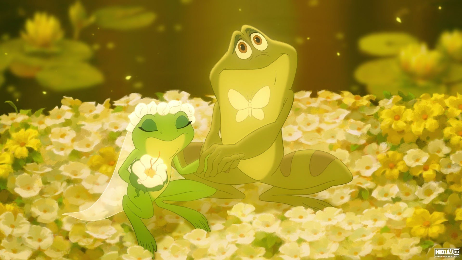 Princess And The Frog Background